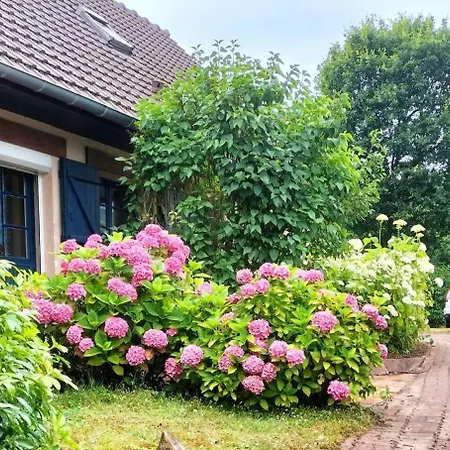Beautiful Touquettoise Near The Golf 펜션 *